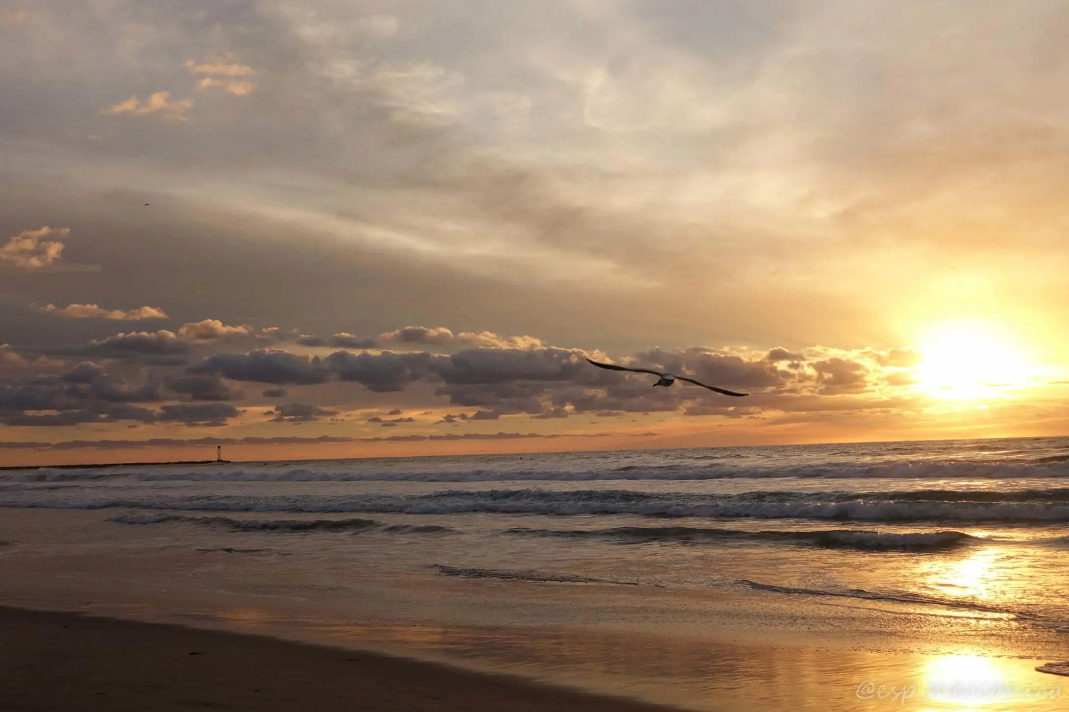 Vacaciones de primavera y cómo una condena por drogas afecta la ayuda federal para estudiantes