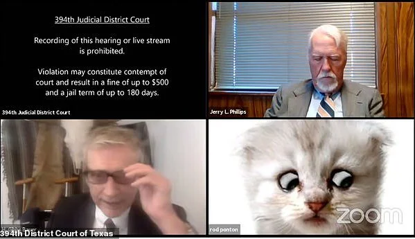 "No soy un gato" - Gracioso, pero ¿y si te enfrentaras a un cargo grave?