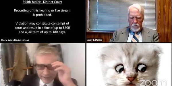 No soy un gato - Gracioso